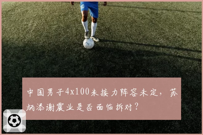 中国男子4x100米接力阵容未定，苏炳添谢震业是否面临拆对？